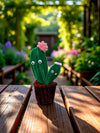 Cactus Pot