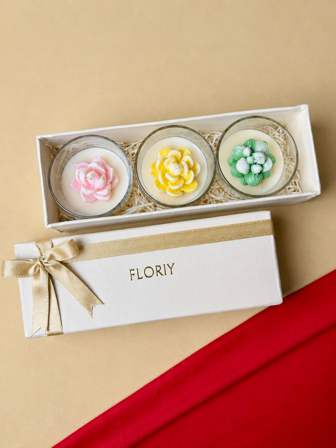 Succulent Candle Gift Set