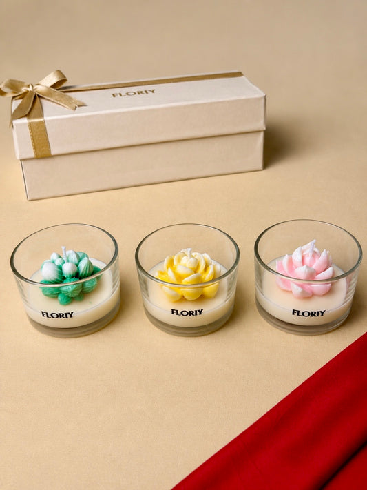 Succulent Candle Gift Set