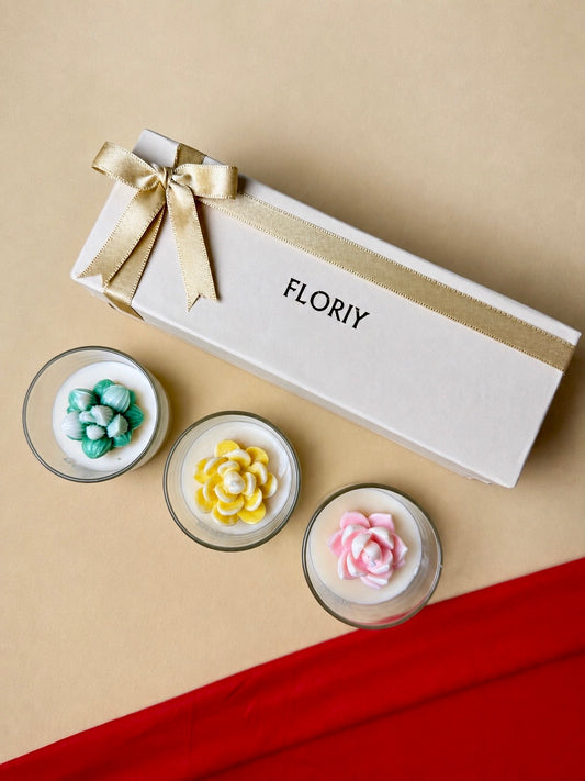 Succulent Candle Gift Set