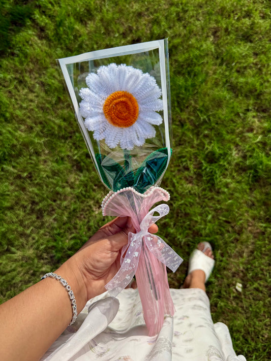 White Daisy