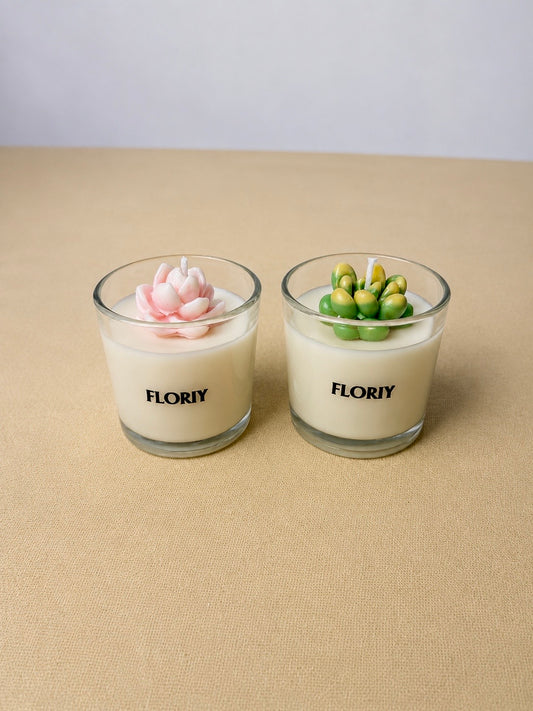 Succulent Garden Candle Gift Set