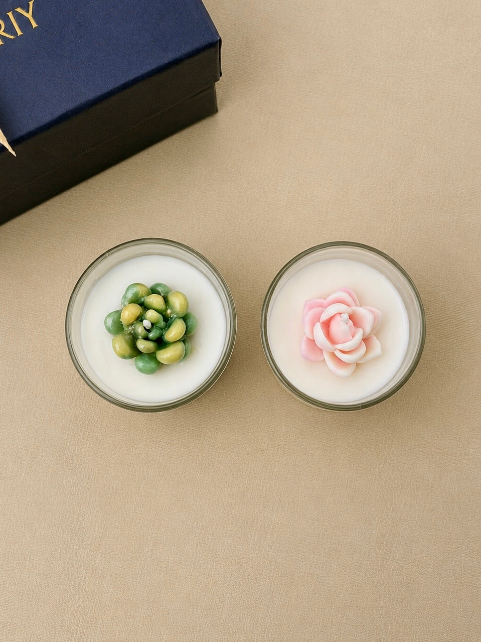 Succulent Garden Candle Gift Set